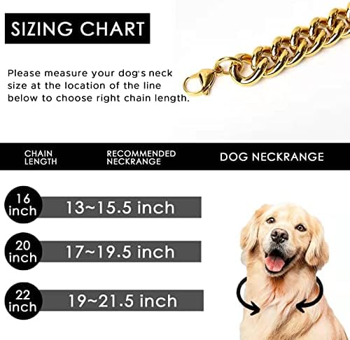 שרשרת זהב דוזה צווארון כלבים מינימליסטי בסגנון שרשרת כלבים קישור קובני מתכת לחיות מחמד בינוניות וגדולות