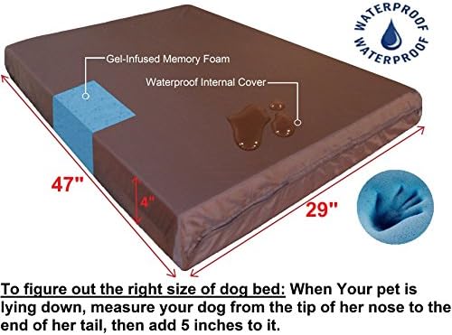 Dogbed4 ללא תוספת גדולה יותר זיכרון אורטופדי מיטת כלבים לכלבים גדולים, כיסוי ג'ינס עמיד, אניה אטומה למים