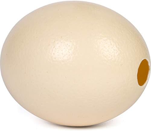 קליפת ביצה של יען פרימיום
