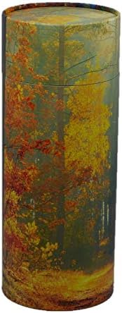 אנדרטאות ארון קארס דיפו נייר כד מתכלה להתפשטות אפר - גדול - מחזיק עד 240 סנטימטרים מעוקב של אפר - חריטה נמכרת